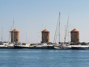 image (11)