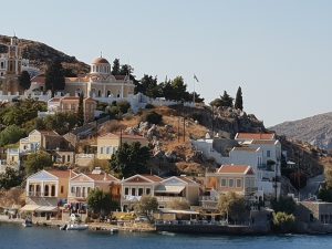 image (5)