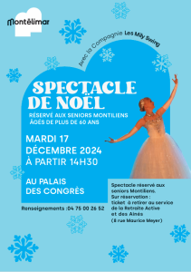 Capture affiche Noel