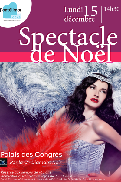 AFFICHE SPECTACLE DE NOEL SENIORS 2025